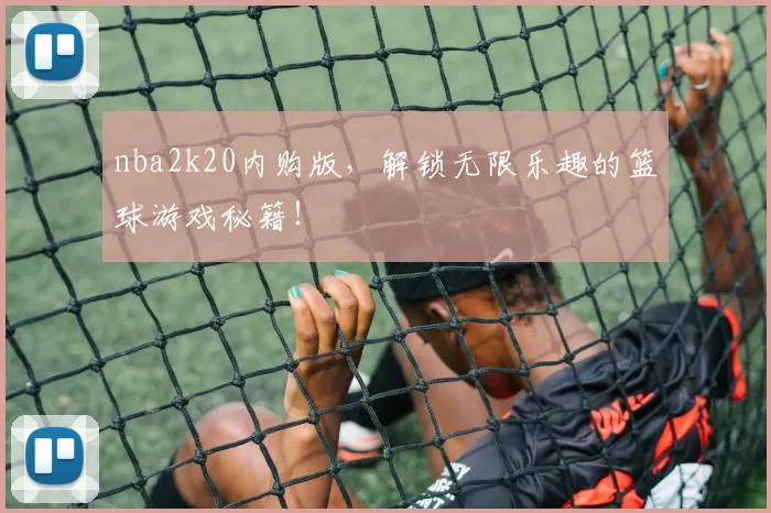 nba2k20内购版，解锁无限乐趣的篮球游戏秘籍！