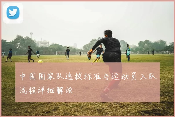 中国国家队选拔标准与运动员入队流程详细解读