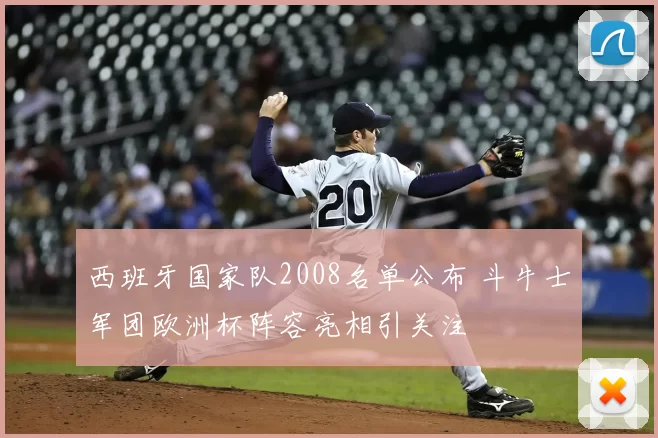 西班牙国家队2008名单公布 斗牛士军团欧洲杯阵容亮相引关注
