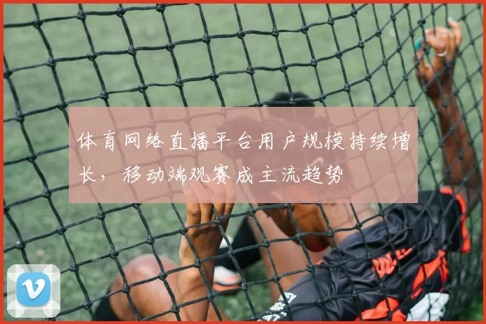 体育网络直播平台用户规模持续增长，移动端观赛成主流趋势