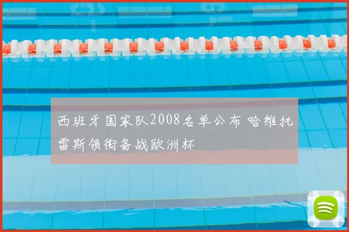 西班牙国家队2008名单公布 哈维托雷斯领衔备战欧洲杯