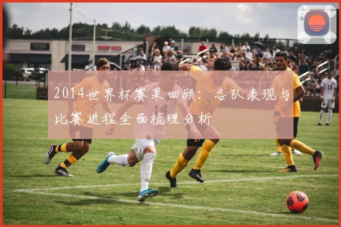 2014世界杯赛果回顾:各队表现与比赛进程全面梳理分析